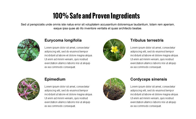 ingredients