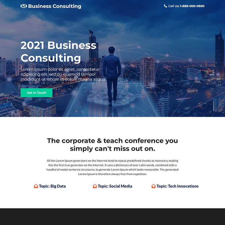 professional business consultation lead capture landing page