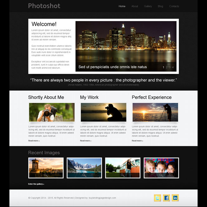 professional photo shoot website template design psd Art and photography example