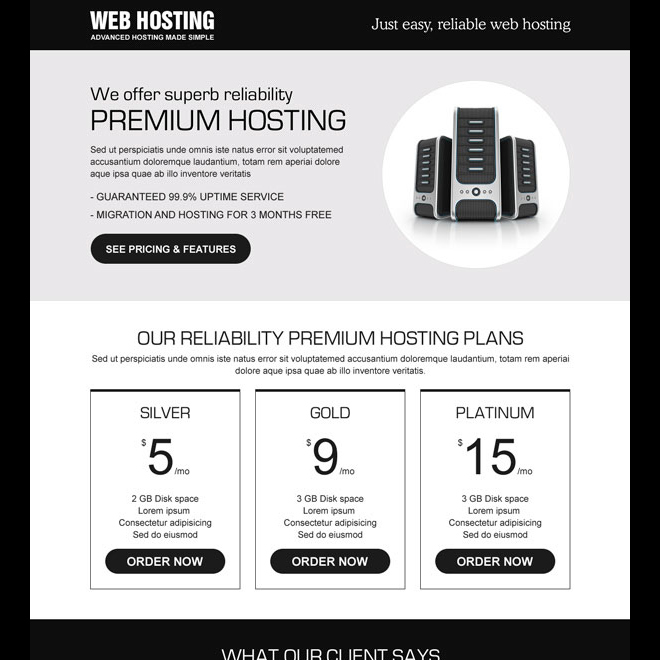 responsive reliable web hosting lander design Web Hosting example