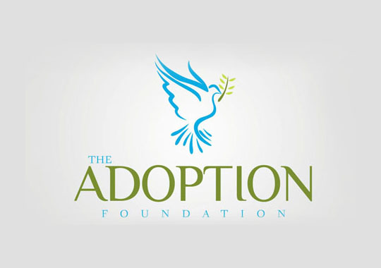 adoption foundation  example