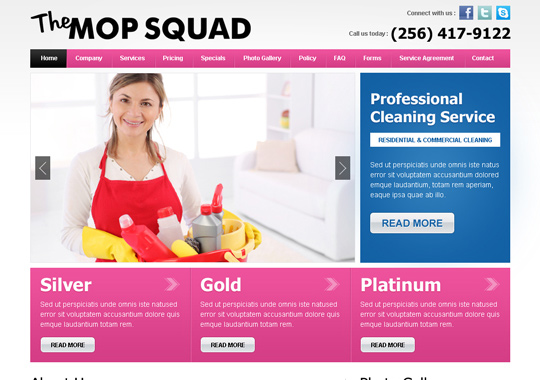 professional cleaning service  example