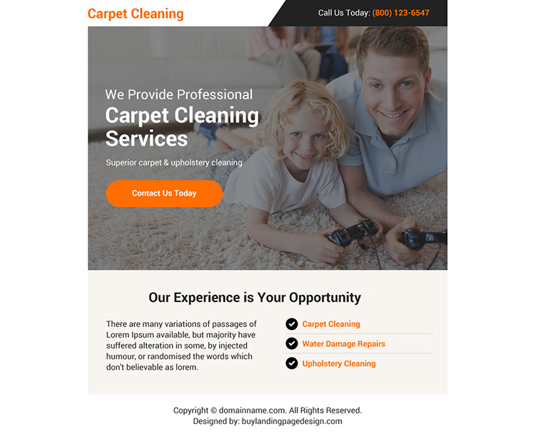 professional carpet cleaning services ppv landing page design