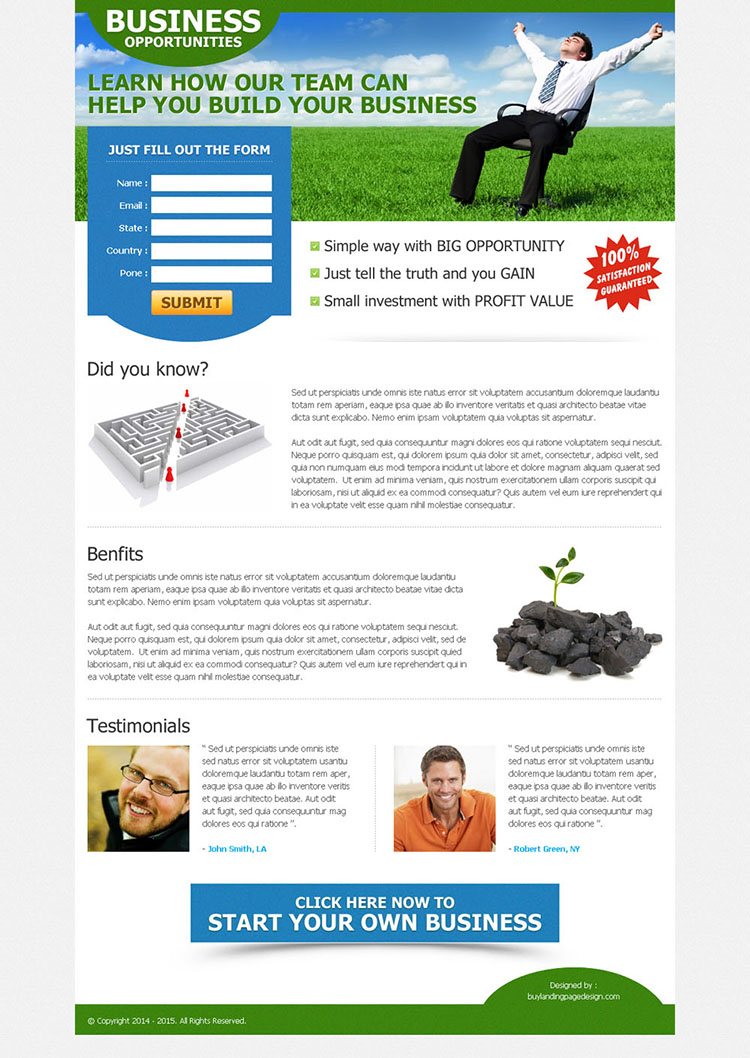 clean and converting business opportunity landing page design