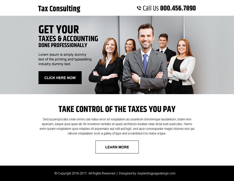 professional tax and accounting consultation service ppv landing page