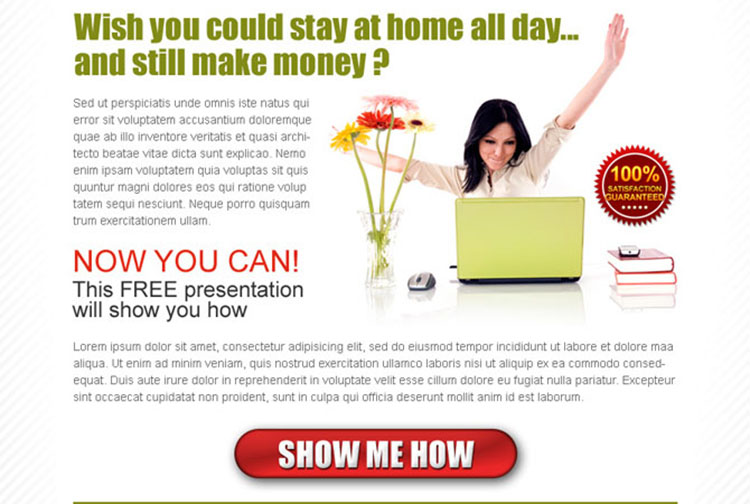 stay at home and make money online effective ppv lander design