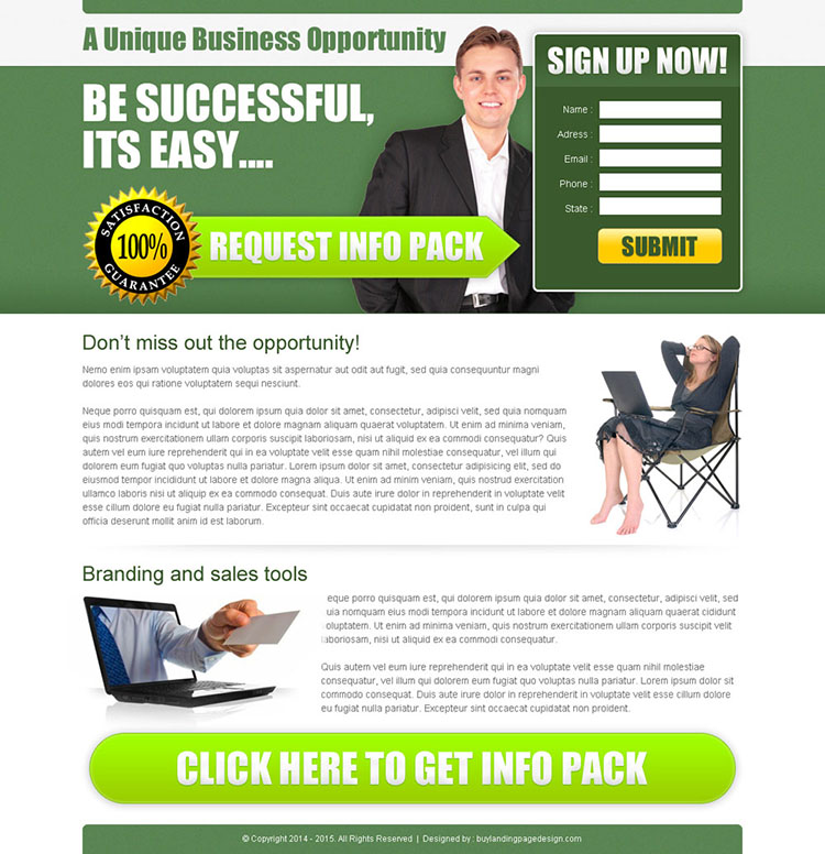 unique business opportunity lead capture page design