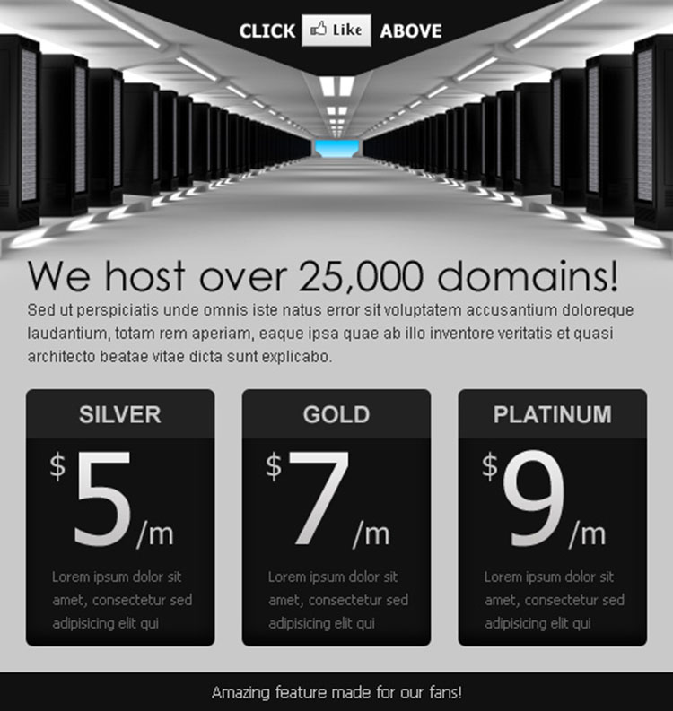 converting web hosting html facebook fan page design