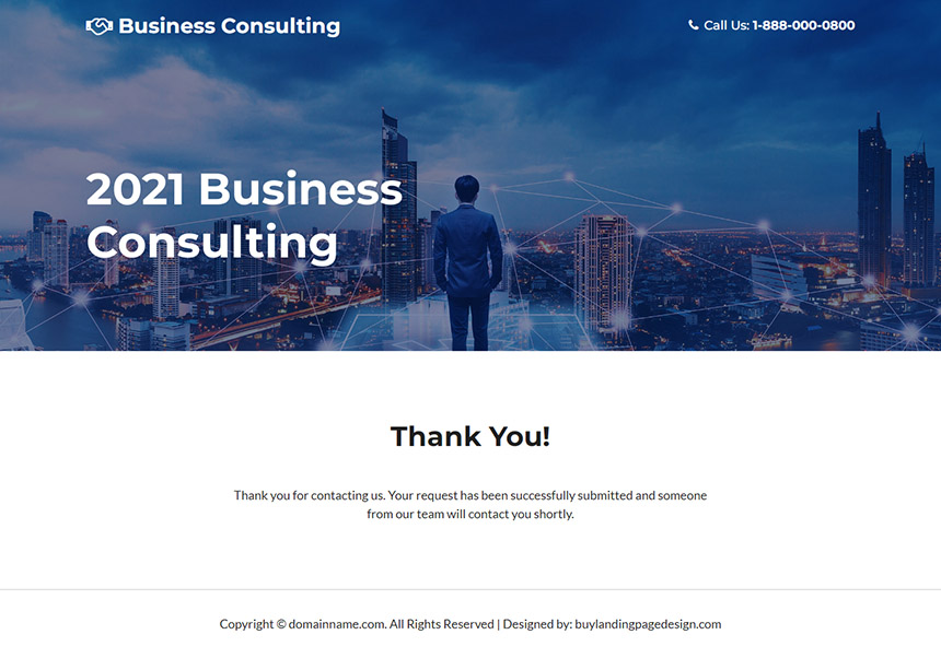 professional business consultation lead capture landing page